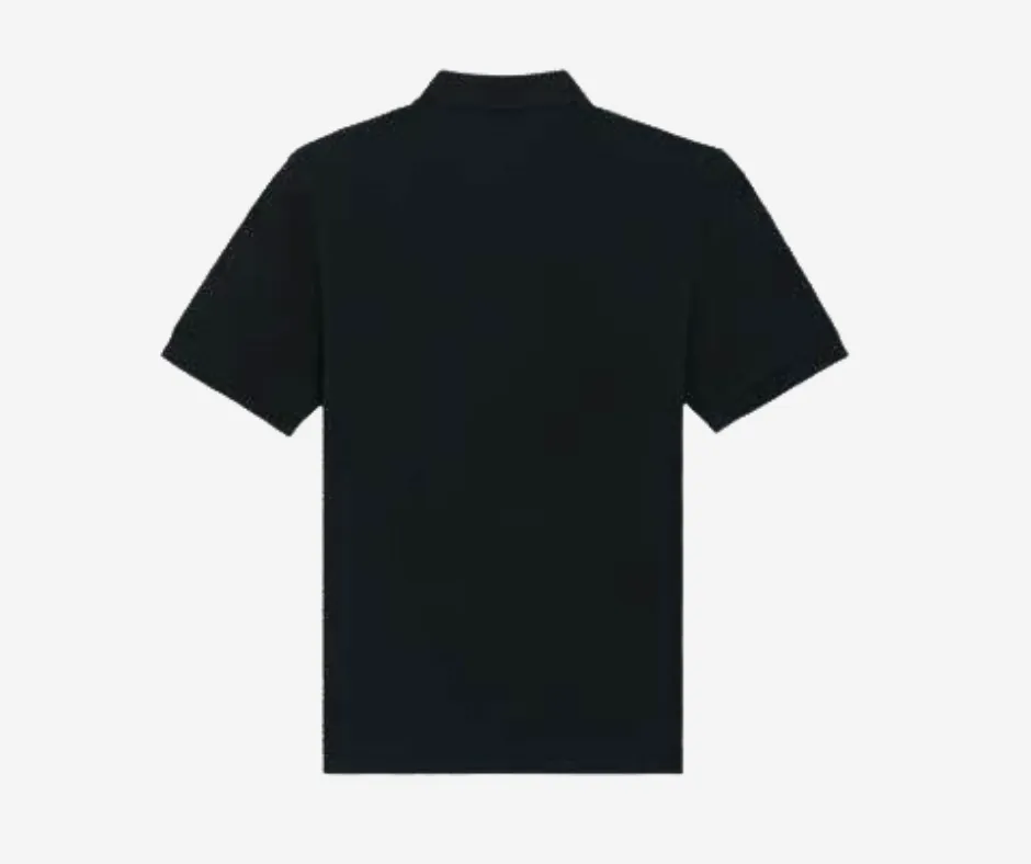 Polo2.webp